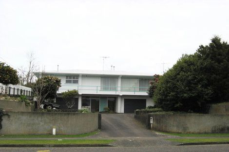 Photo of property in 115 Winchester Street, Levin, 5510