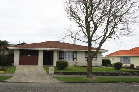 Photo of property in 125 Winchester Street, Levin, 5510