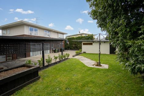 Photo of property in 47a Vogel Street, Cambridge, 3434