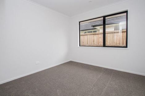 Photo of property in 36 Maggie Place, Chartwell, Hamilton, 3210
