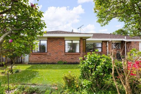 Photo of property in 13 Canon Street, Waihi, 3610
