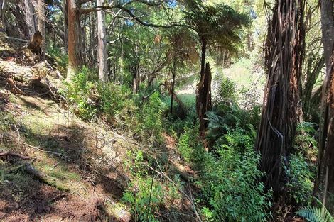 Photo of property in 581 Valley Road, Kaiwaka, 0573