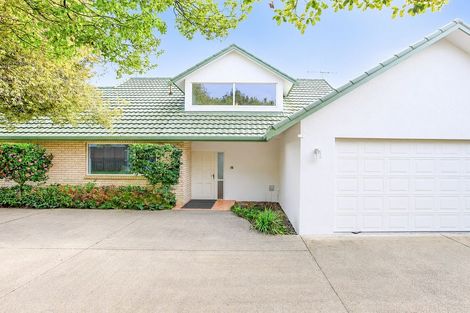 Photo of property in 271a Clarkin Road, Fairfield, Hamilton, 3214