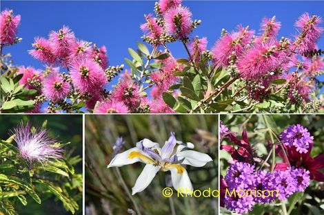 Photo of property in 42 Sandy Beach Road, Tinopai, 0593