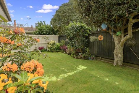 Photo of property in 64b Sixteenth Avenue, Tauranga South, Tauranga, 3112