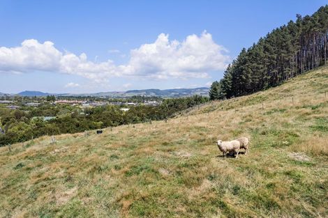 Photo of property in 36a Orchard Road, Waiake, Auckland, 0630