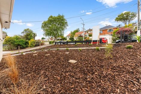 Photo of property in 195 Helensburgh Road, Wakari, Dunedin, 9010