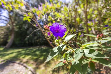 Photo of property in 335 Hautere Cross Road, Hautere, Otaki, 5582