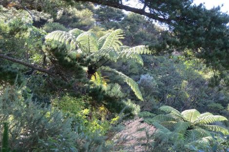 Photo of property in 1090 Driving Creek Road, Coromandel, 3583