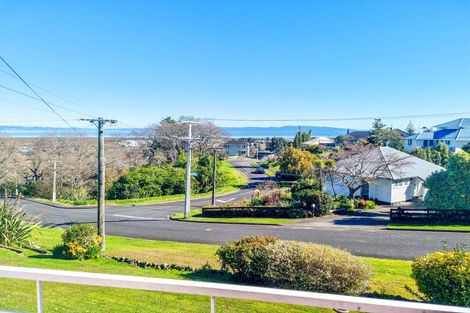 Photo of property in 112 Mount Sea Road, Thames, 3500