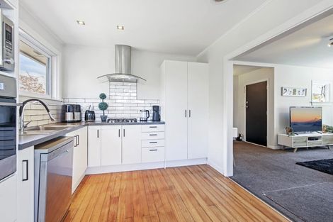 Photo of property in 117 Joy Street, Shirley, Christchurch, 8061