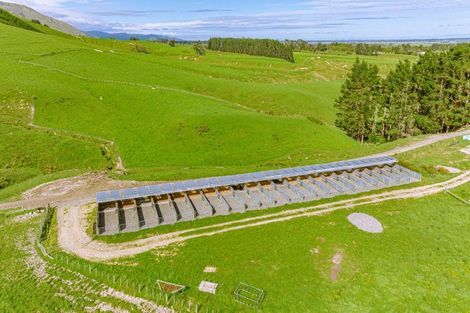 Photo of property in 157 Williams Road, Muriwai, Gisborne, 4072