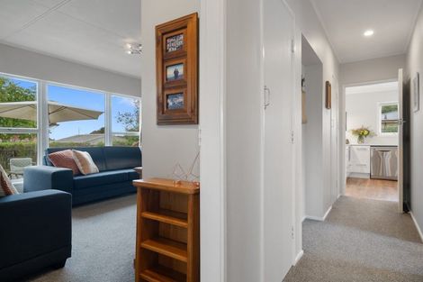 Photo of property in 17 Edward Street, Richmond, 7020