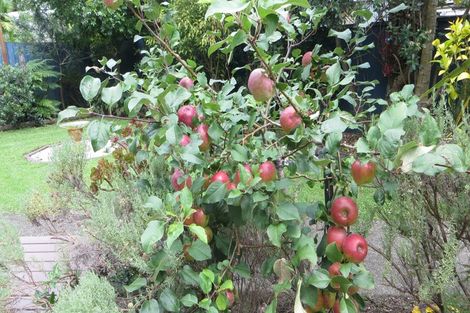 Photo of property in 40 Leafield Crescent, Henderson, Auckland, 0612