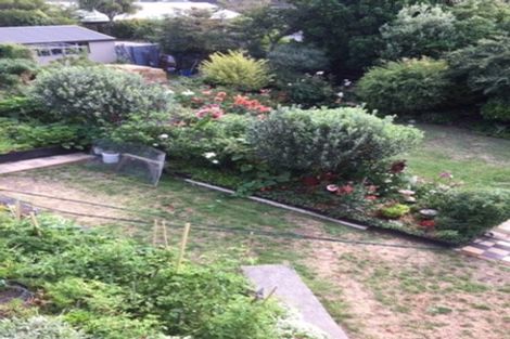 Photo of property in 77a Alexander Road, Raumati Beach, Paraparaumu, 5032