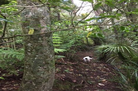 Photo of property in 410 Paradise Road, Tangiteroria, 0381