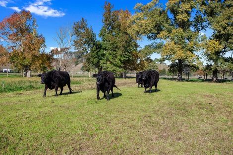 Photo of property in 763 White Pine Bush Road, White Pine Bush, Whakatane, 3191