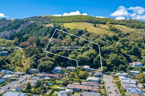 Photo of property in 101 Cambria Street, The Wood, Nelson, 7010