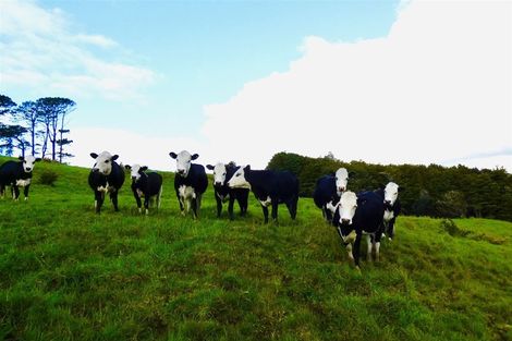 Photo of property in 567 Wharehine Road, Wharehine, Wellsford, 0973