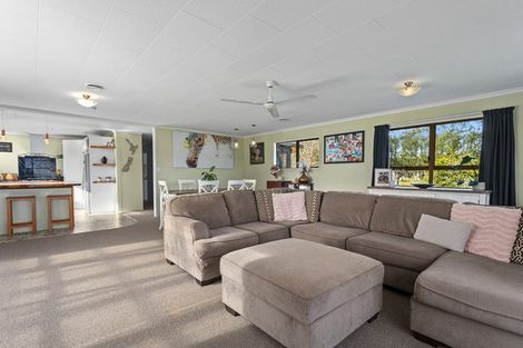 Photo of property in 24 Willow Lane, Edgecumbe, Whakatane, 3192