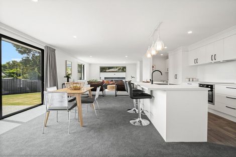 Photo of property in 9 Rose Drive, Concord, Dunedin, 9018