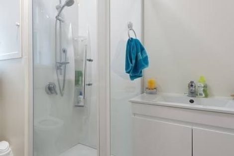 Photo of property in 105 Majoribanks Street, Mount Victoria, Wellington, 6011