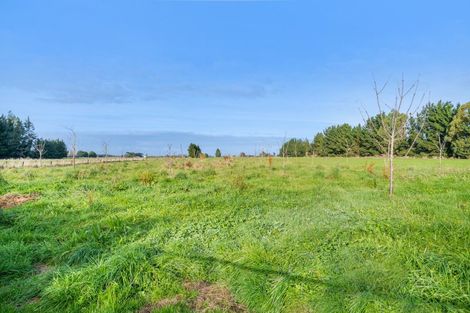 Photo of property in 241 Gap Road West, Winton, 9781