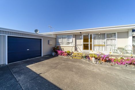 Photo of property in 17 Guildford Street, Tamatea, Napier, 4112