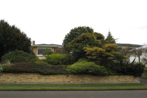 Photo of property in 117 Winchester Street, Levin, 5510