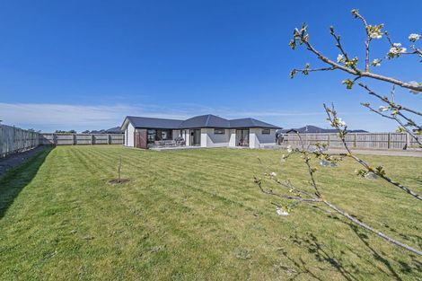 Photo of property in 3 Merino Crescent, Kirwee, 7571