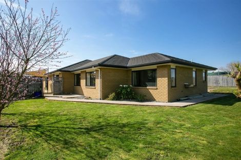 Photo of property in 10 Acorn Lane, Morrinsville, 3300