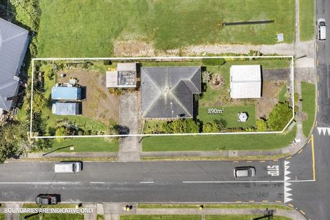 Photo of property in 131 Seabrook Avenue, New Lynn, Auckland, 0600