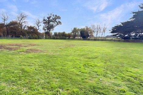 Photo of property in 120 Cummerfield Road, Foxton, 4891