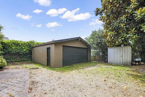 Photo of property in 28 Thomson Avenue, Dinsdale, Hamilton, 3204