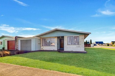 Photo of property in 55 Liverpool Street, Levin, 5510