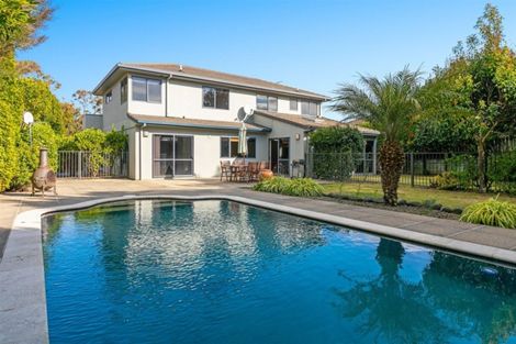 Photo of property in 41 Bethlehem Heights, Bethlehem, Tauranga, 3110