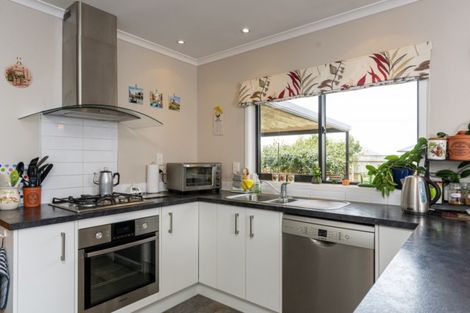 Photo of property in 8 Solstone Drive, Solway, Masterton, 5810