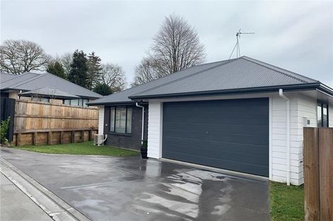 Photo of property in 4/19 Goldsmith Street, Leamington, Cambridge, 3432