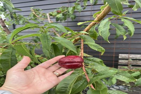 Photo of property in 1 Clough Road, Paroa, Greymouth, 7805