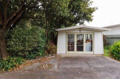 Photo of property in 201 The Terrace, Ashhurst, 4810