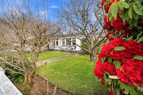 Photo of property in 69 Proctor Street, Papanui, Christchurch, 8053