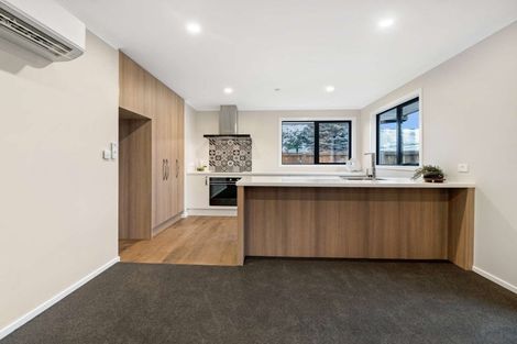 Photo of property in 164a Chalmers Avenue, Hampstead, Ashburton, 7700