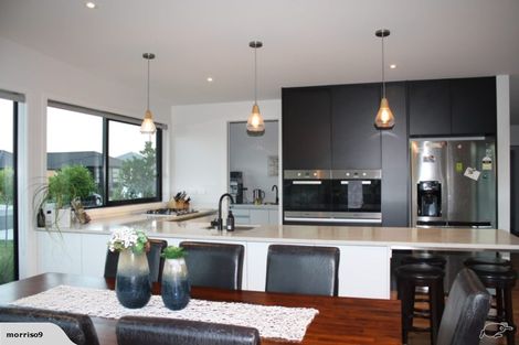 Photo of property in 21 Helen June Avenue, Flagstaff, Hamilton, 3210