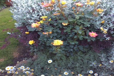 Photo of property in 1342 Coast Road, Toko Mouth, Milton, 9292