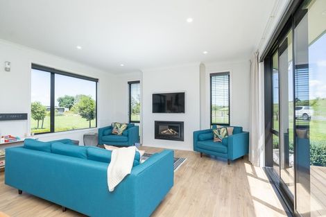 Photo of property in 133 Robson Road, Ngahinapouri, Hamilton, 3290