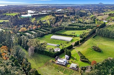 Photo of property in 484c Wright Road, Aongatete, 3181