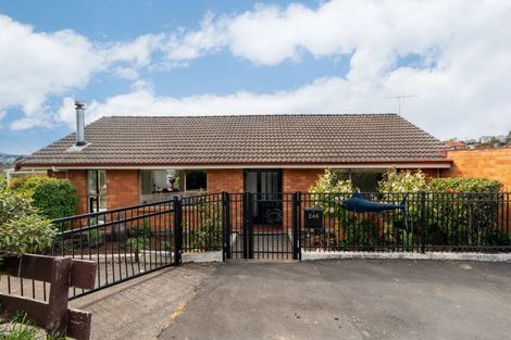 Photo of property in 246 Helensburgh Road, Helensburgh, Dunedin, 9010