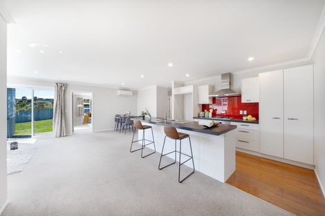 Photo of property in 9 Ken Douglas Drive, Aotea, Porirua, 5024
