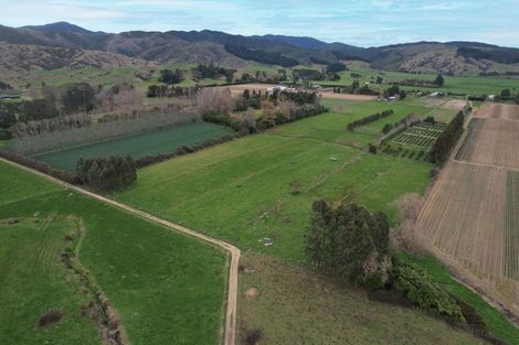 Photo of property in 459 Muhunoa Road East, Muhunoa East, Levin, 5570