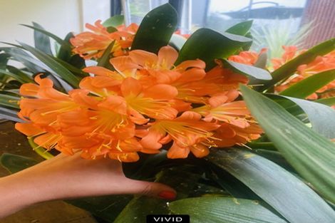 Photo of property in 185 Pongakawa Valley Road, Lake Rotoma, Rotorua, 3074